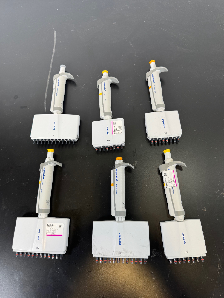 Image of Eppendorf Research Plus Multichannel Pipettes - Quantity 6